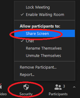 The image illustrate the Who can share screen options The image illustrate the Who can share screen options