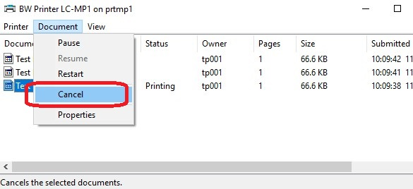 Cancel the Print Job Procedure Cancel the Print Job Procedure